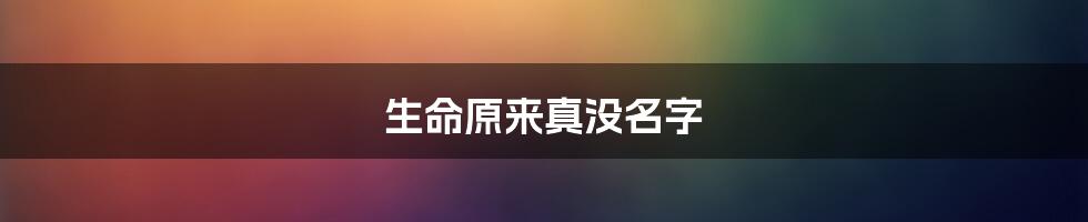 生命原来真没名字