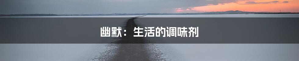 幽默：生活的调味剂