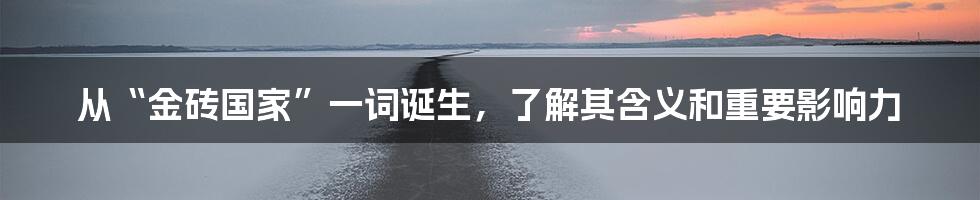 从“金砖国家”一词诞生，了解其含义和重要影响力