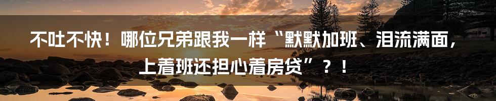 不吐不快！哪位兄弟跟我一样“默默加班、泪流满面，上着班还担心着房贷”？！