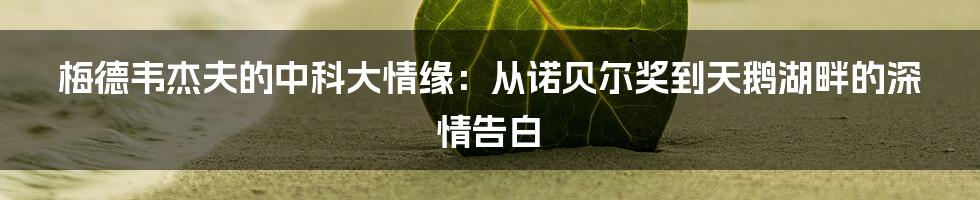 梅德韦杰夫的中科大情缘：从诺贝尔奖到天鹅湖畔的深情告白