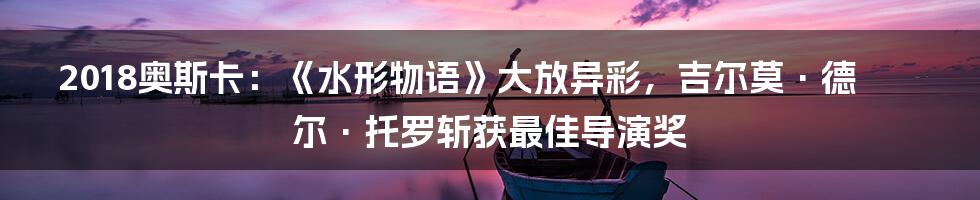 2018奥斯卡：《水形物语》大放异彩，吉尔莫·德尔·托罗斩获最佳导演奖