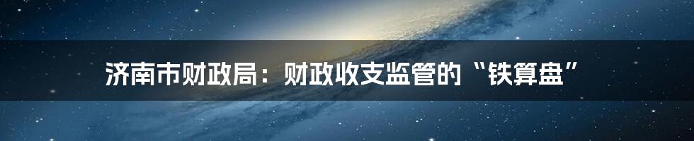 济南市财政局：财政收支监管的“铁算盘”