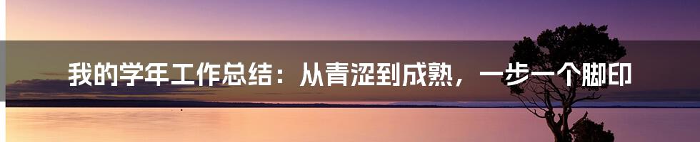 我的学年工作总结：从青涩到成熟，一步一个脚印