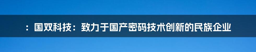 ：国双科技：致力于国产密码技术创新的民族企业