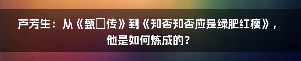 芦芳生：从《甄嬛传》到《知否知否应是绿肥红瘦》，他是如何炼成的？