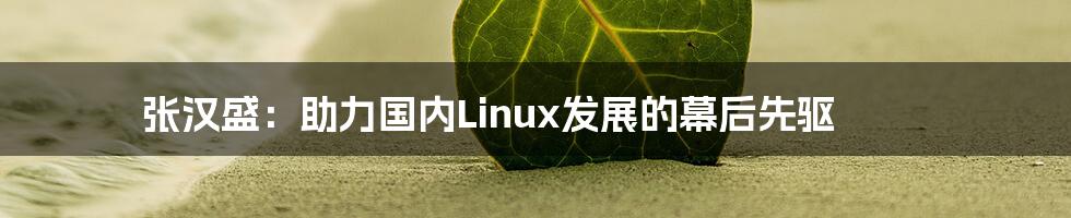 张汉盛：助力国内Linux发展的幕后先驱