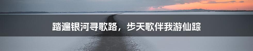 踏遍银河寻歌路，步天歌伴我游仙踪