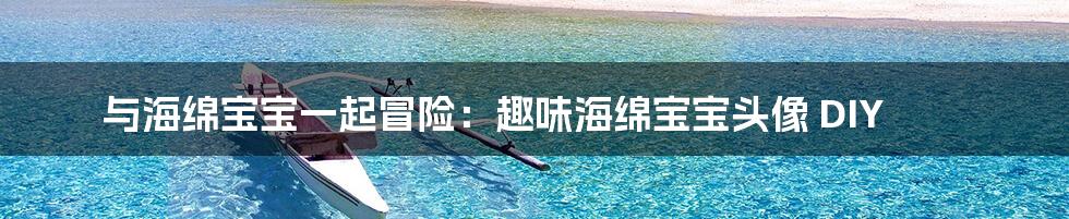 与海绵宝宝一起冒险：趣味海绵宝宝头像 DIY