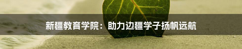 新疆教育学院：助力边疆学子扬帆远航