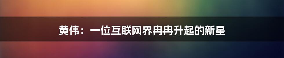 黄伟：一位互联网界冉冉升起的新星