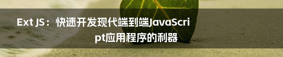 Ext JS：快速开发现代端到端JavaScript应用程序的利器