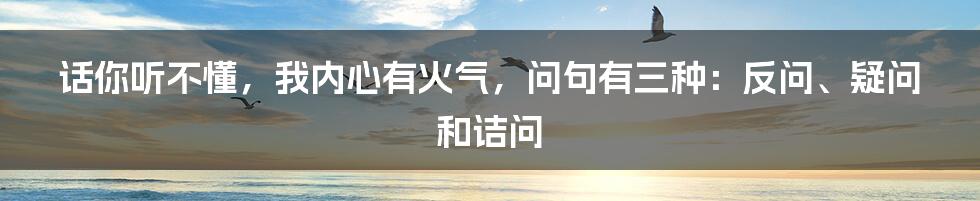 话你听不懂，我内心有火气，问句有三种：反问、疑问和诘问