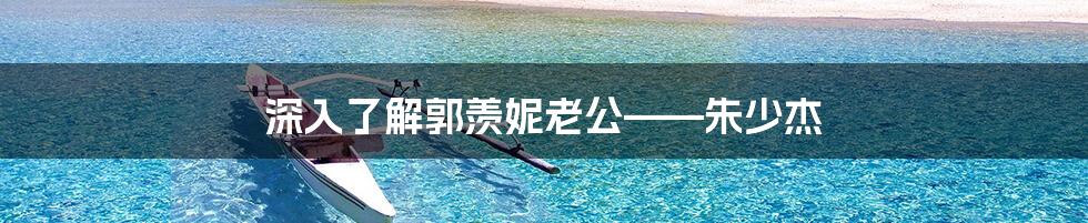 深入了解郭羡妮老公——朱少杰