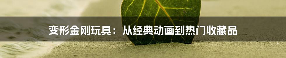 变形金刚玩具：从经典动画到热门收藏品