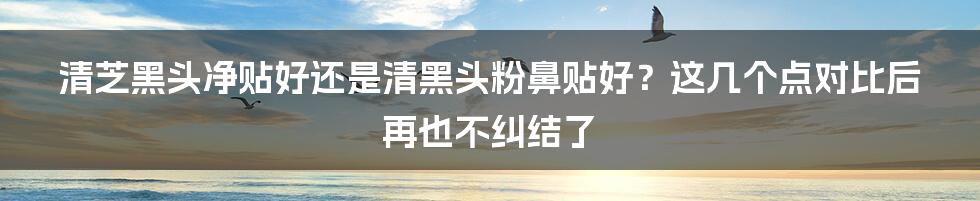 清芝黑头净贴好还是清黑头粉鼻贴好？这几个点对比后再也不纠结了