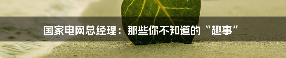 国家电网总经理：那些你不知道的“趣事”