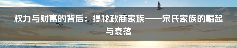 权力与财富的背后：揭秘政商家族——宋氏家族的崛起与衰落