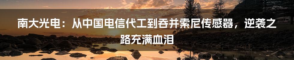 南大光电：从中国电信代工到吞并索尼传感器，逆袭之路充满血泪