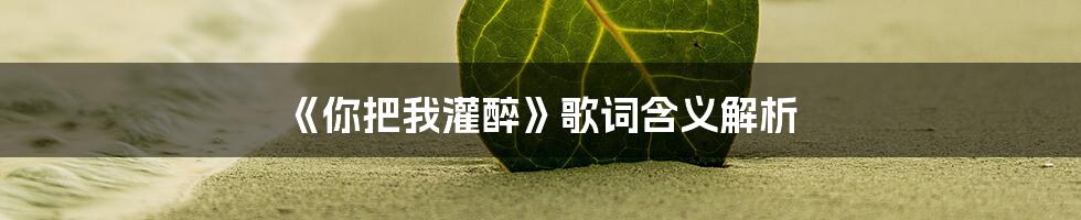 《你把我灌醉》歌词含义解析