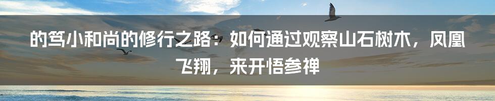 的笃小和尚的修行之路：如何通过观察山石树木，凤凰飞翔，来开悟参禅