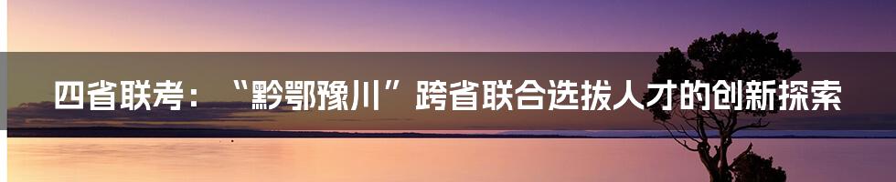 四省联考：“黔鄂豫川”跨省联合选拔人才的创新探索