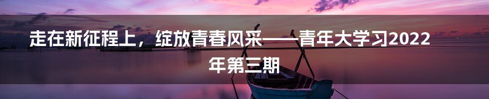 走在新征程上，绽放青春风采——青年大学习2022年第三期