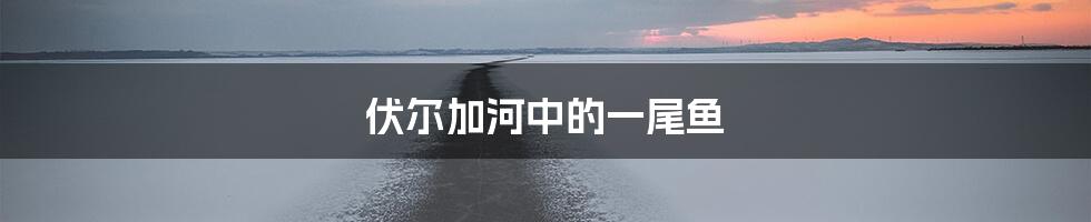 伏尔加河中的一尾鱼