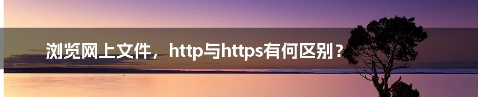 浏览网上文件，http与https有何区别？