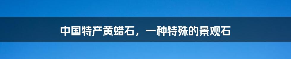 中国特产黄蜡石，一种特殊的景观石