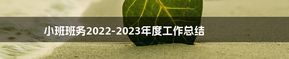 小班班务2022-2023年度工作总结