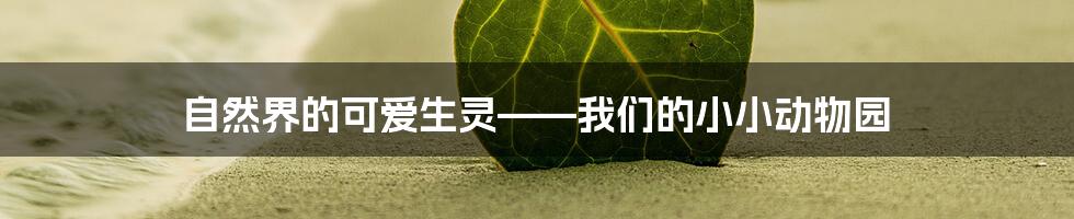 自然界的可爱生灵——我们的小小动物园