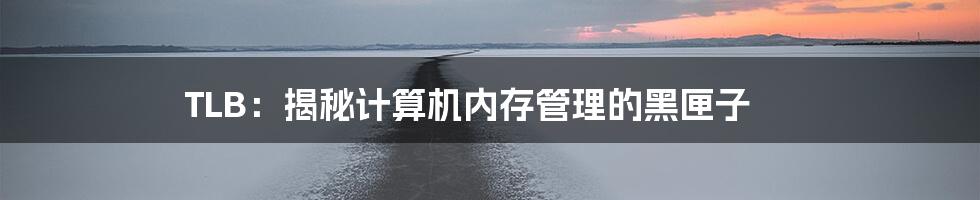 TLB：揭秘计算机内存管理的黑匣子