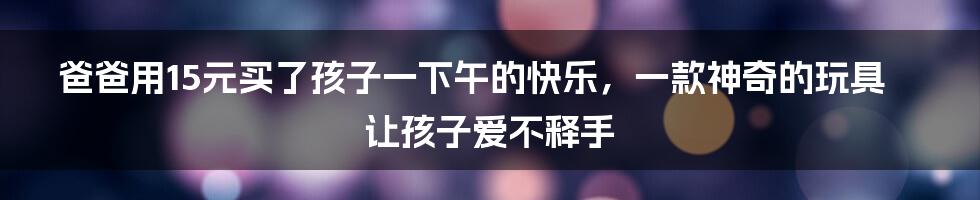 爸爸用15元买了孩子一下午的快乐，一款神奇的玩具让孩子爱不释手