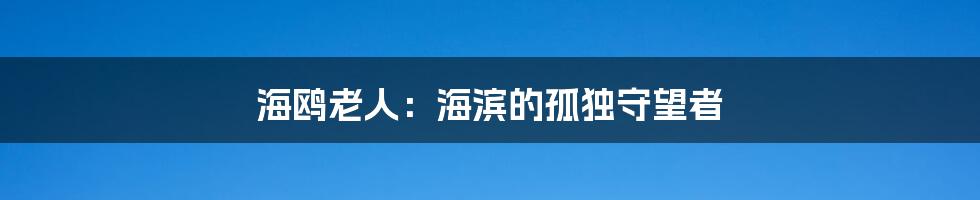 海鸥老人：海滨的孤独守望者