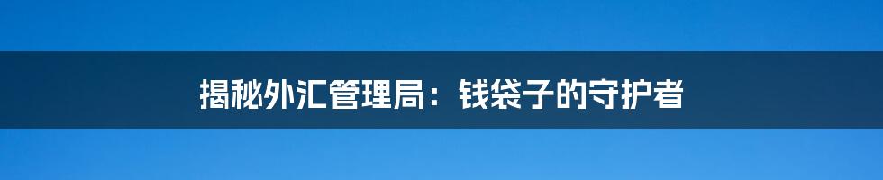 揭秘外汇管理局：钱袋子的守护者