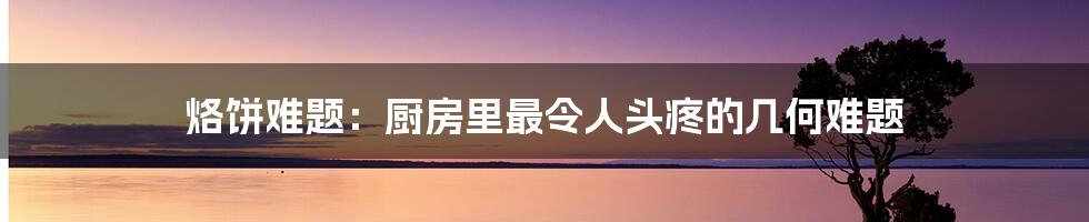 烙饼难题：厨房里最令人头疼的几何难题