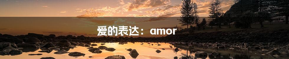 爱的表达：amor