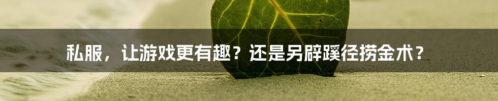 私服，让游戏更有趣？还是另辟蹊径捞金术？