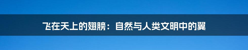 飞在天上的翅膀：自然与人类文明中的翼