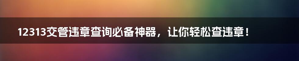 12313交管违章查询必备神器，让你轻松查违章！