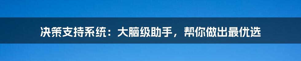 决策支持系统：大脑级助手，帮你做出最优选