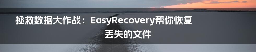 拯救数据大作战：EasyRecovery帮你恢复丢失的文件