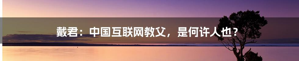 戴君：中国互联网教父，是何许人也？