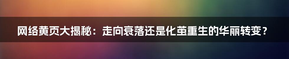 网络黄页大揭秘：走向衰落还是化茧重生的华丽转变？