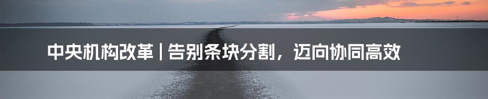 中央机构改革 | 告别条块分割，迈向协同高效