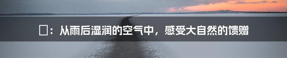 浥：从雨后湿润的空气中，感受大自然的馈赠