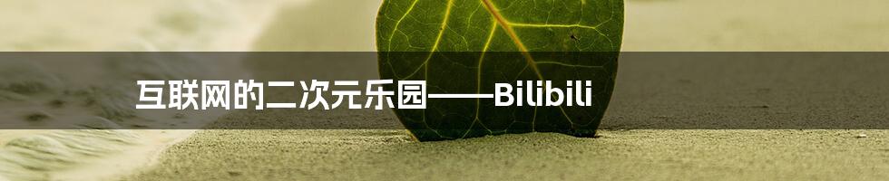 互联网的二次元乐园——Bilibili