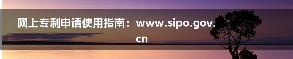 网上专利申请使用指南：www.sipo.gov.cn