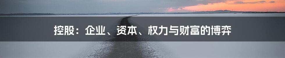 控股：企业、资本、权力与财富的博弈